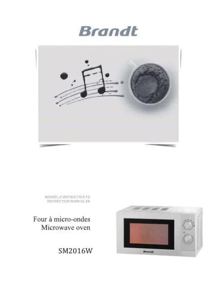 Brandt SM2016W