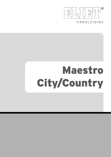 Eliet Maestro City