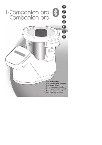 Moulinex I-Companion HF941A