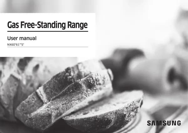 Samsung NX60A6115SS