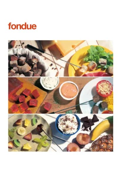 Tefal Multi Fondue EF3000